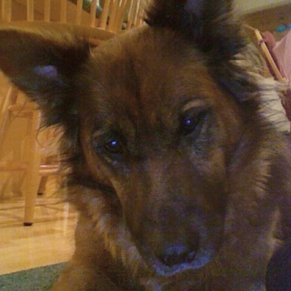 Meet your Posher, Redmontster. - Picture 3 of 15